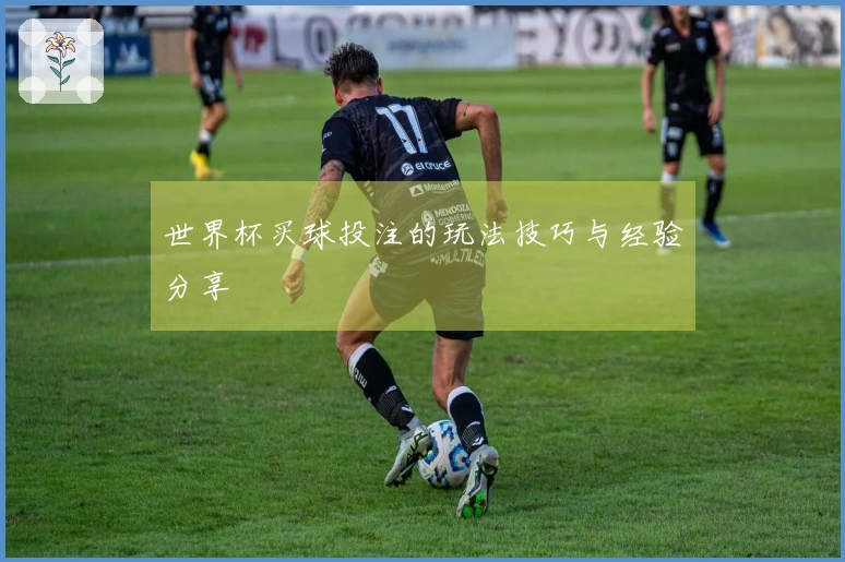 世界杯买球投注的玩法技巧与经验分享