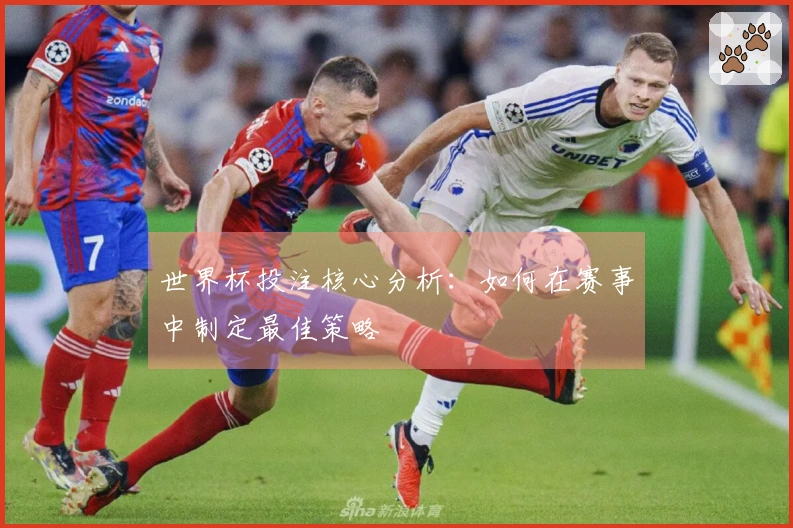 世界杯投注核心分析：如何在赛事中制定最佳策略