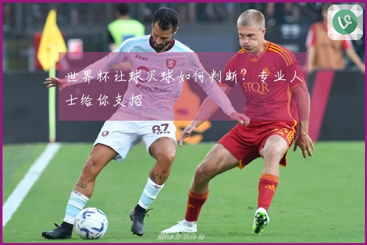 世界杯让球买球如何判断？专业人士给你支招