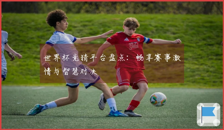 世界杯竞猜平台盘点：畅享赛事激情与智慧对决