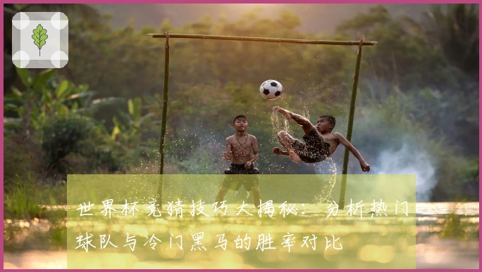 世界杯竞猜技巧大揭秘：分析热门球队与冷门黑马的胜率对比