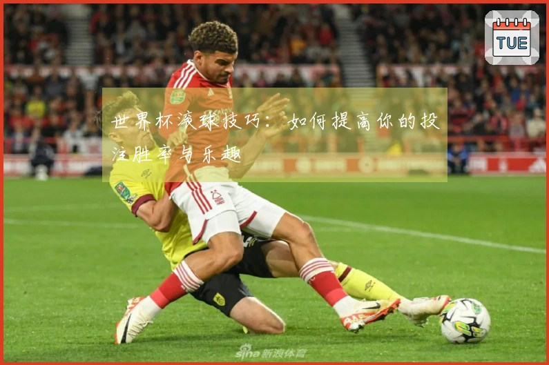 世界杯滚球技巧：如何提高你的投注胜率与乐趣