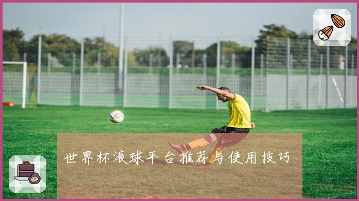 世界杯滚球平台推荐与使用技巧 안내