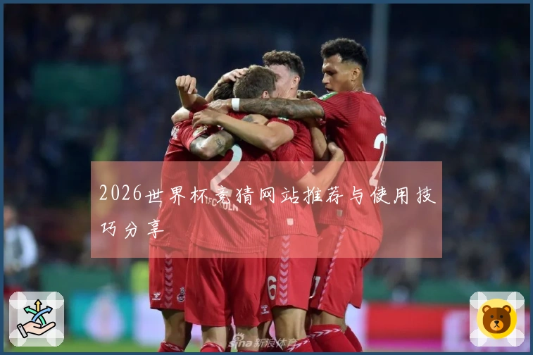 2026世界杯竞猜网站推荐与使用技巧分享