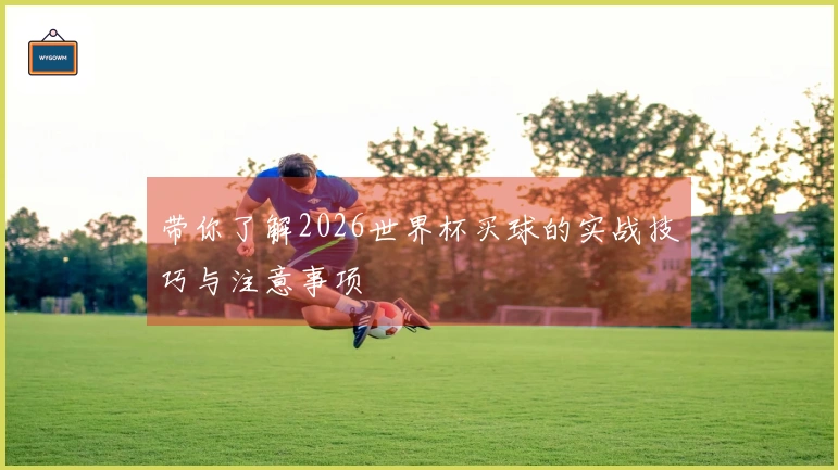 带你了解2026世界杯买球的实战技巧与注意事项