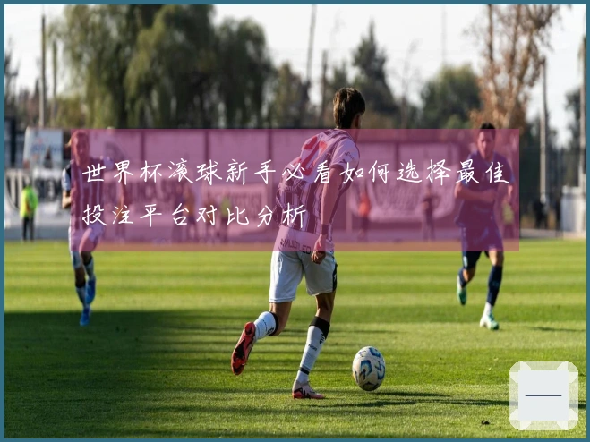 世界杯滚球新手必看如何选择最佳投注平台对比分析