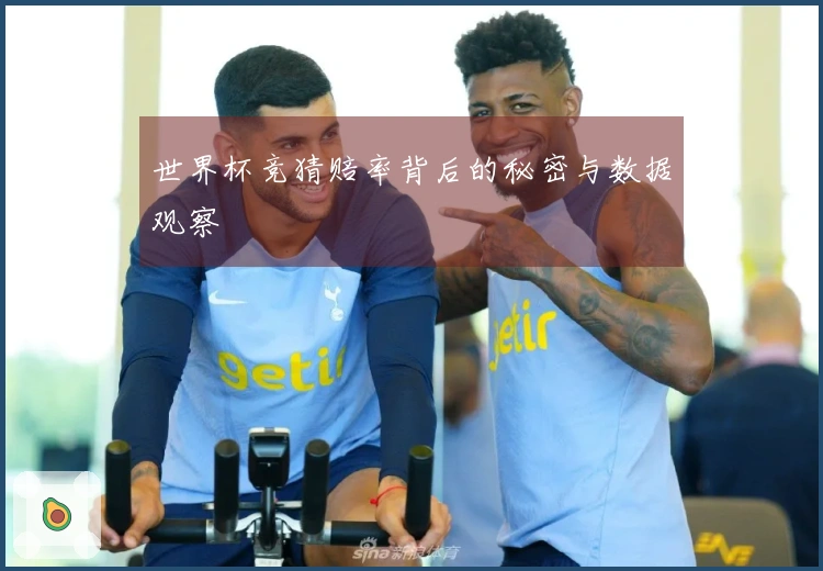 世界杯竞猜赔率背后的秘密与数据观察